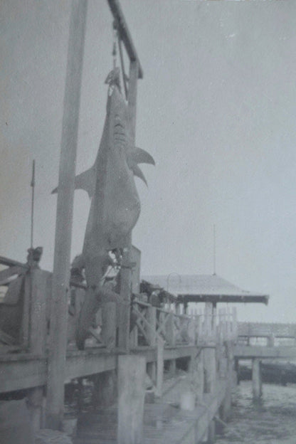 Big Catch