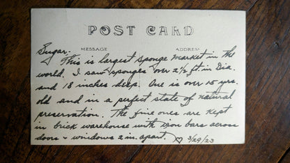 Tarpon Springs Postcard
