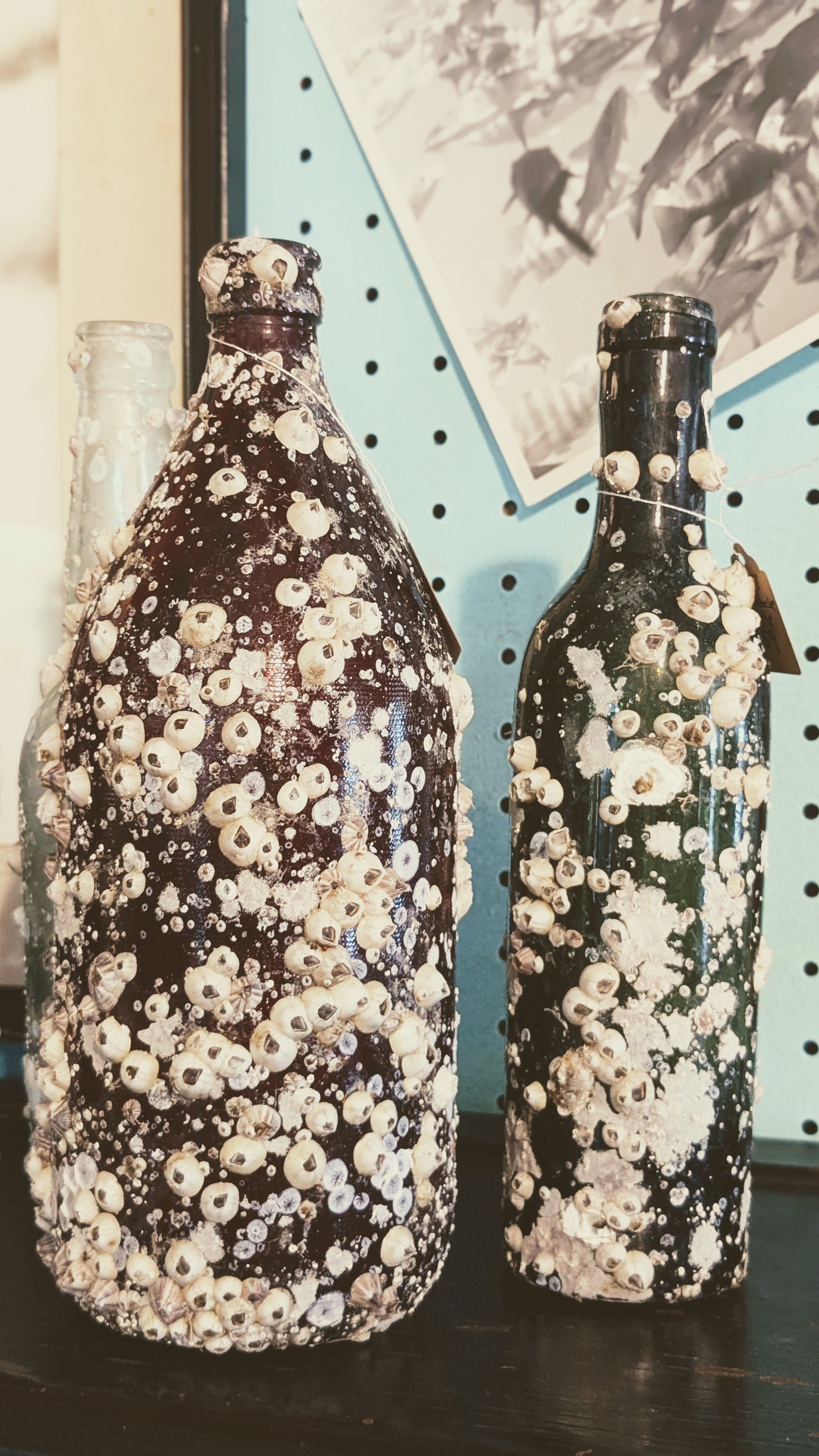 Barnacle Bottle B