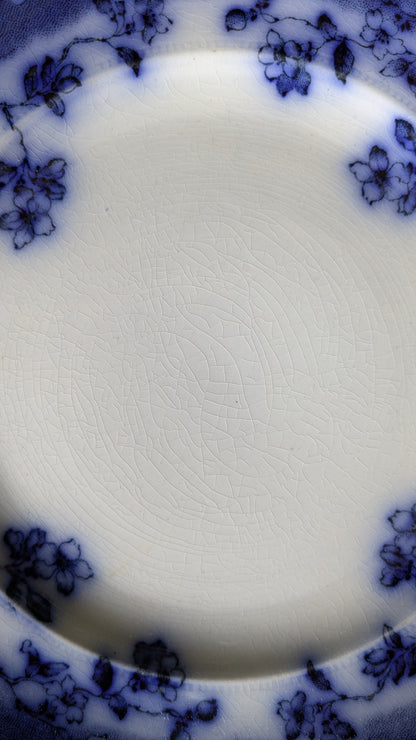 Blue and White Brunswick Plate