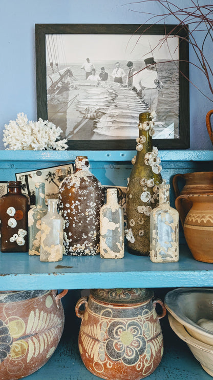 Barnacle Crusted Bottle