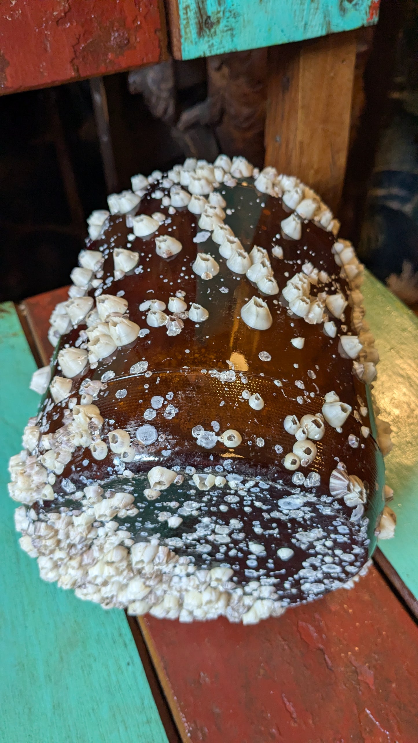 Barnacle Covered Glass Jug
