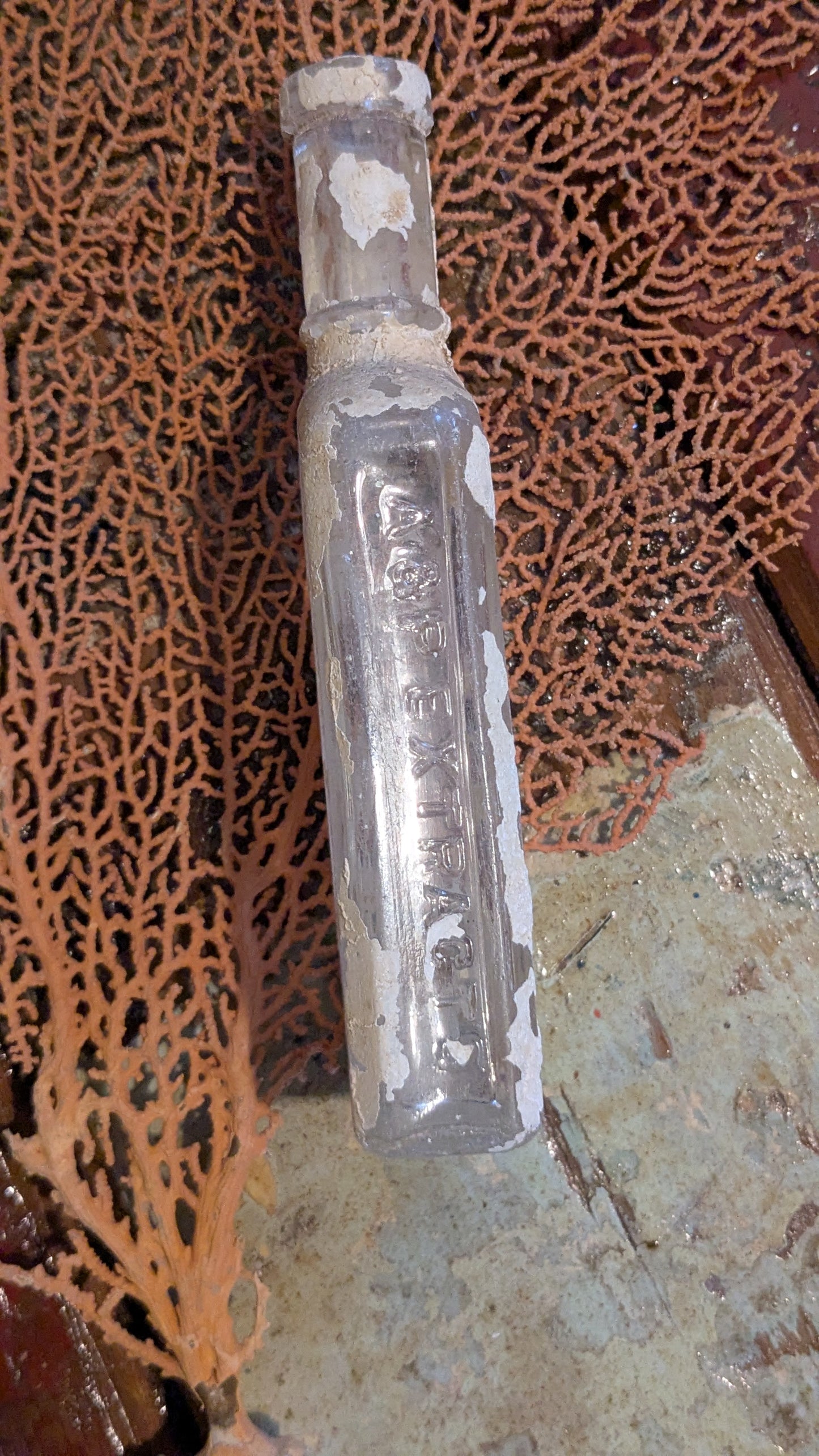Bottle from the Sea