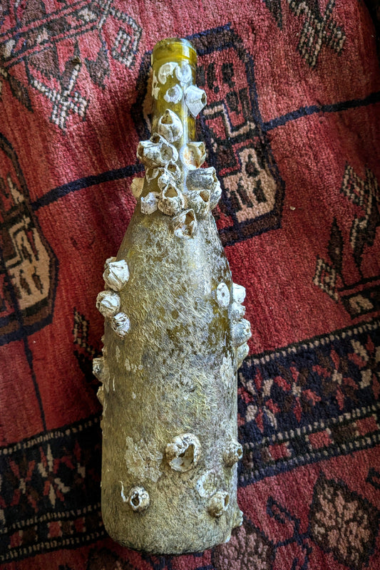 Barnacle Covered Bottle 2