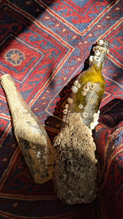 Barnacled Glass Wine Bottle