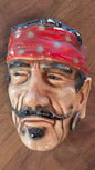 Ridiculous Pirate Wall Head B