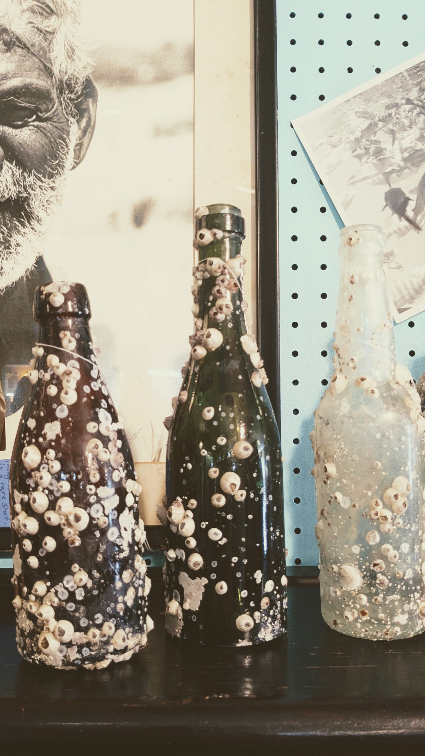 Barnacle Bottle B