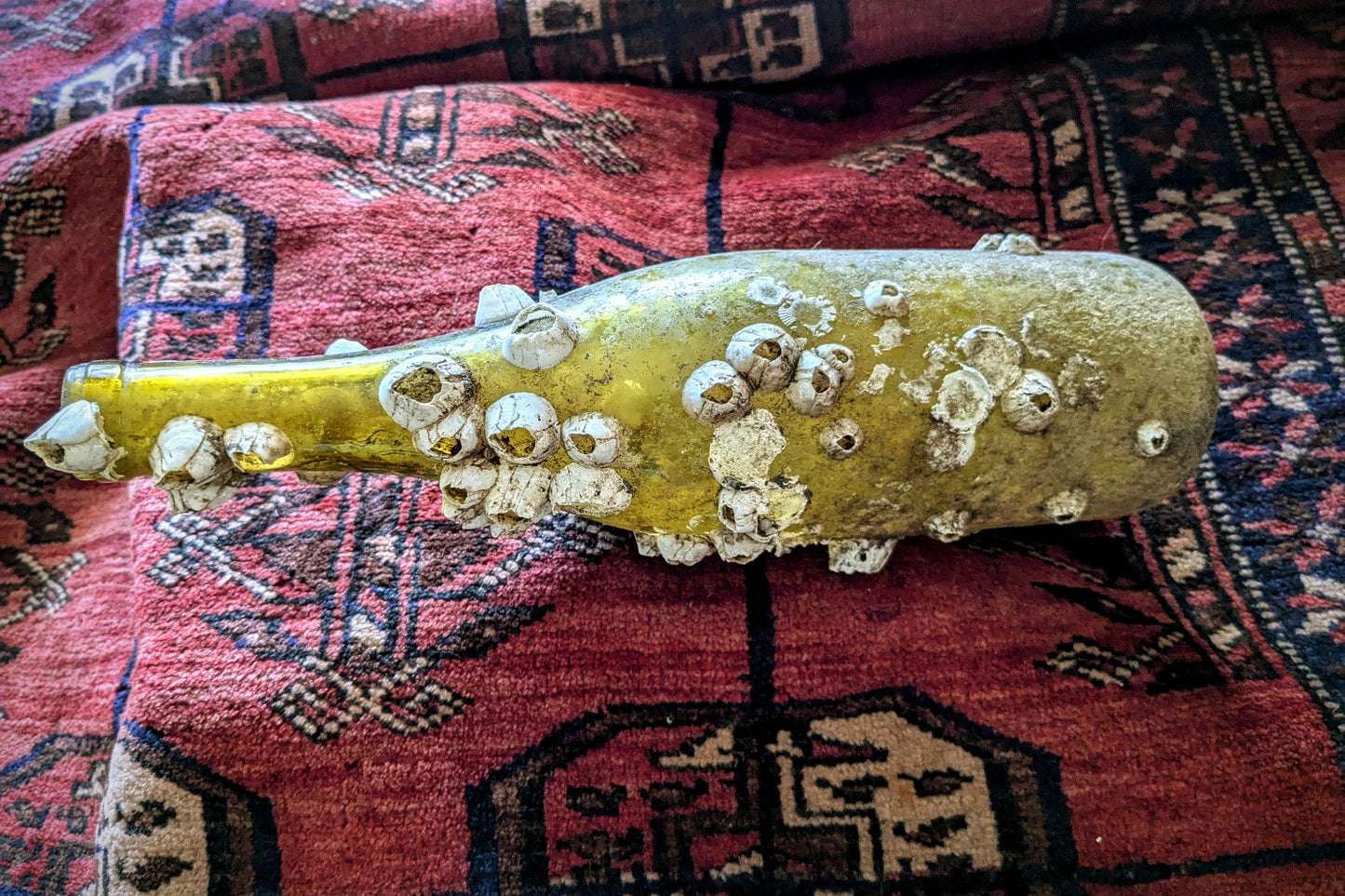 Barnacle Covered Bottle 1