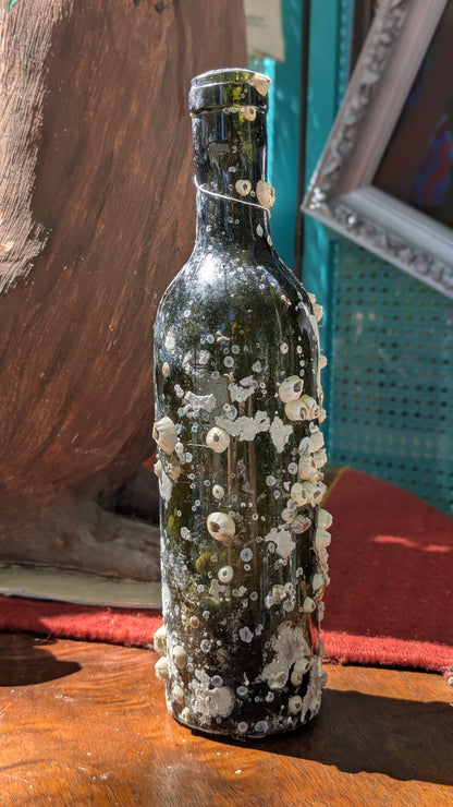 Barnacle Bottle E