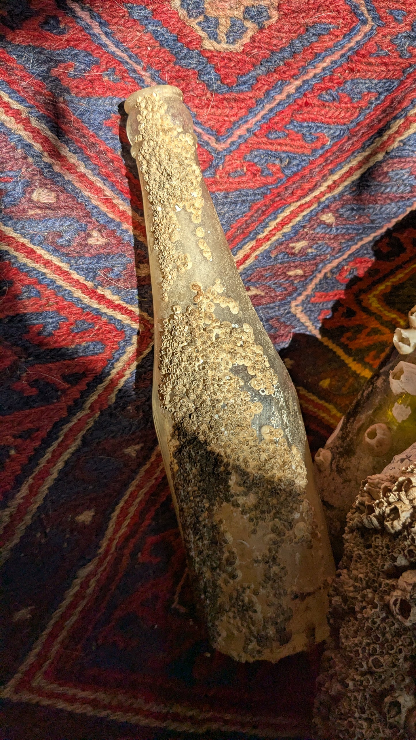 Barnacled Glass Bottle