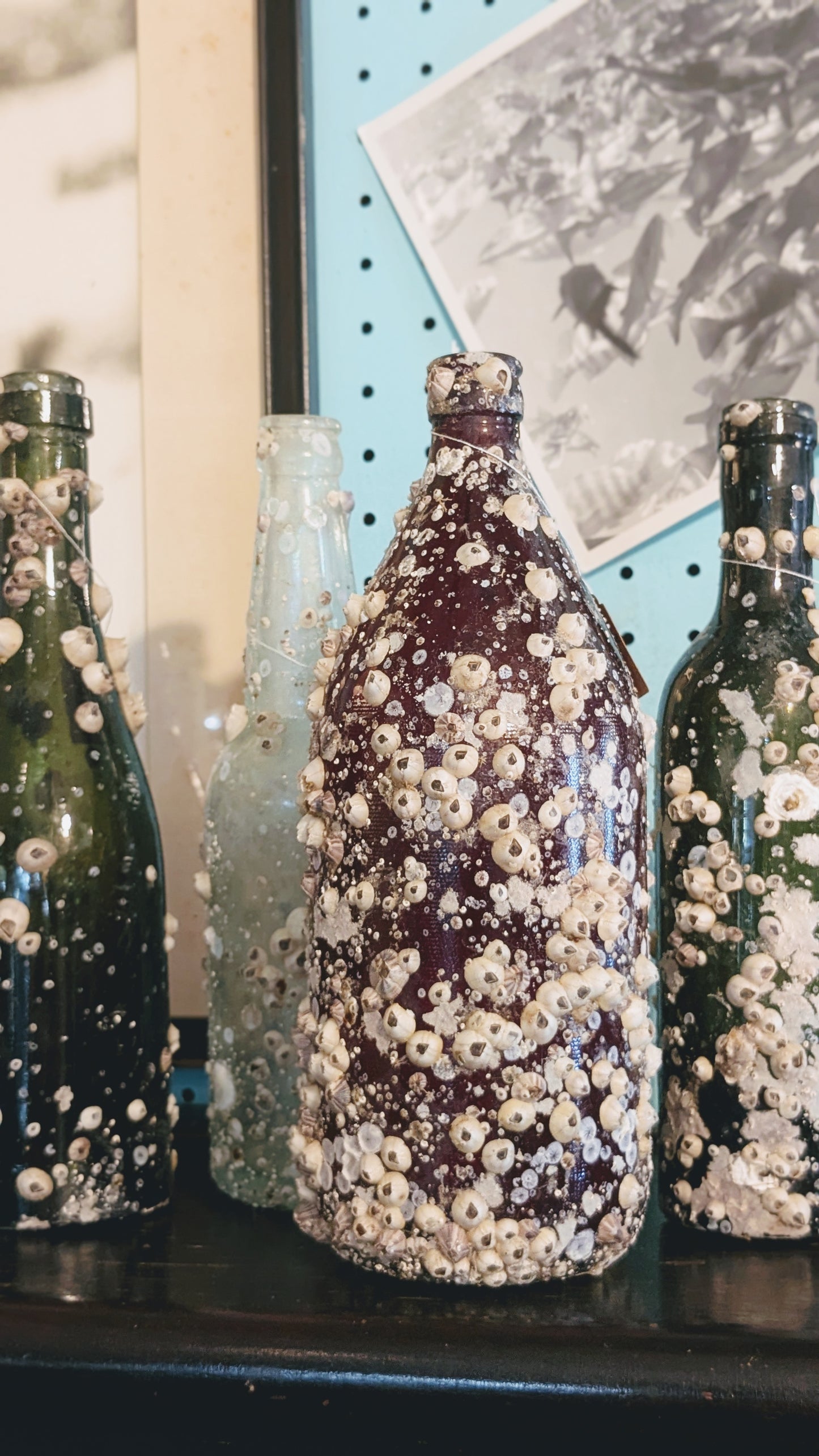 Barnacle Bottle B