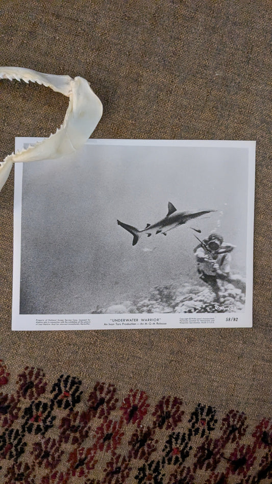 "Underwater Warrior" Press Photo