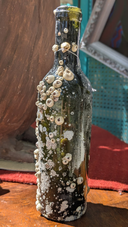 Barnacle Bottle E