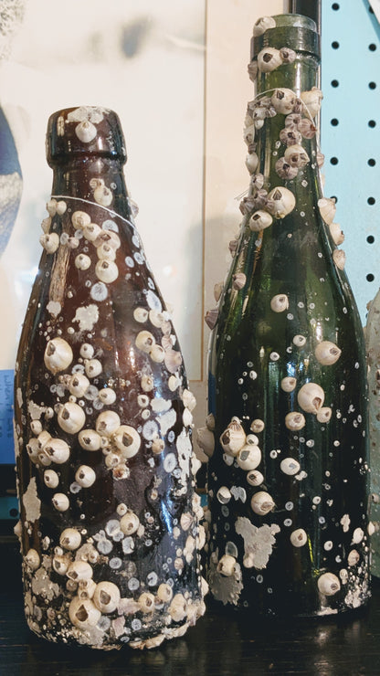 Barnacle Bottle C