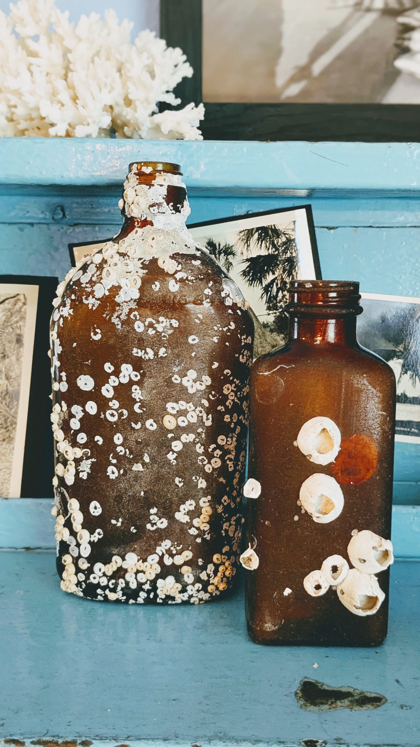 Barnacle Crusted Bottle