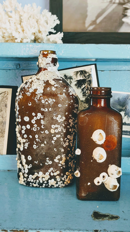 Barnacle Crusted Bottle