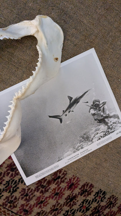 "Underwater Warrior" Press Photo