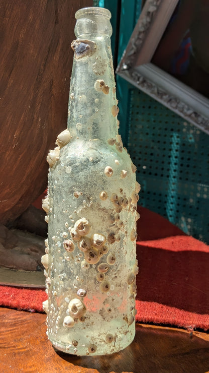 Barnacle Bottle D