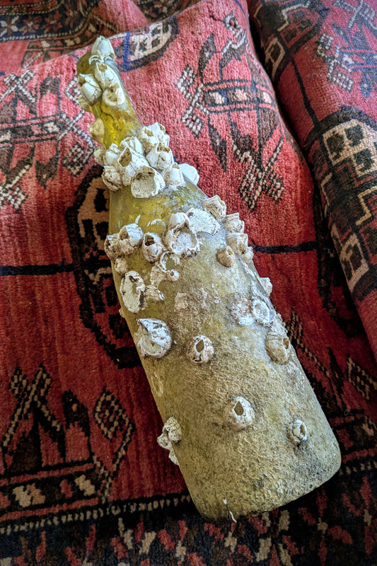 Barnacle Covered Bottle 1