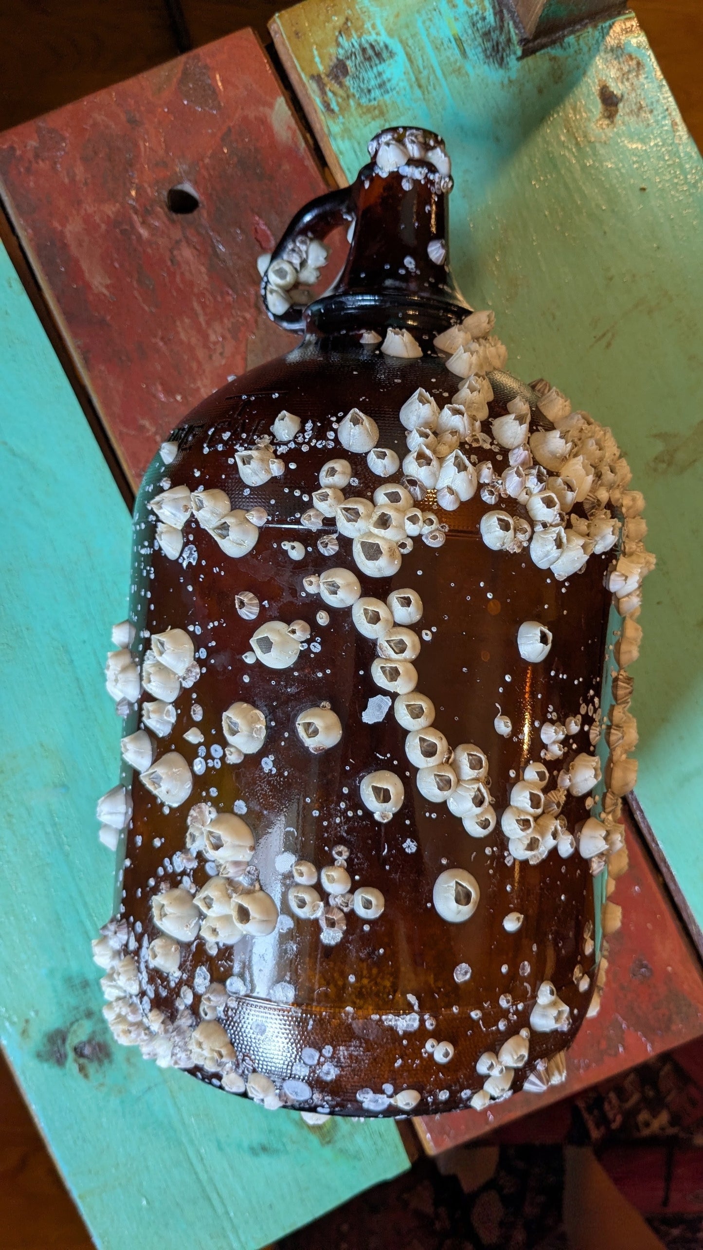 Barnacle Covered Glass Jug