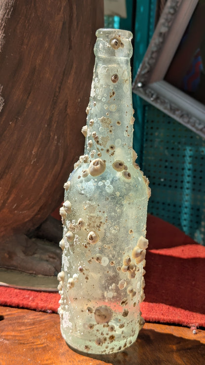 Barnacle Bottle D