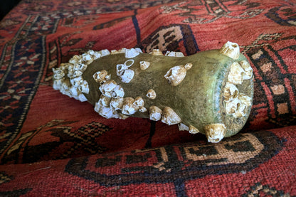 Barnacle Covered Bottle 3
