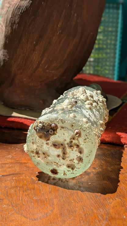 Barnacle Bottle D