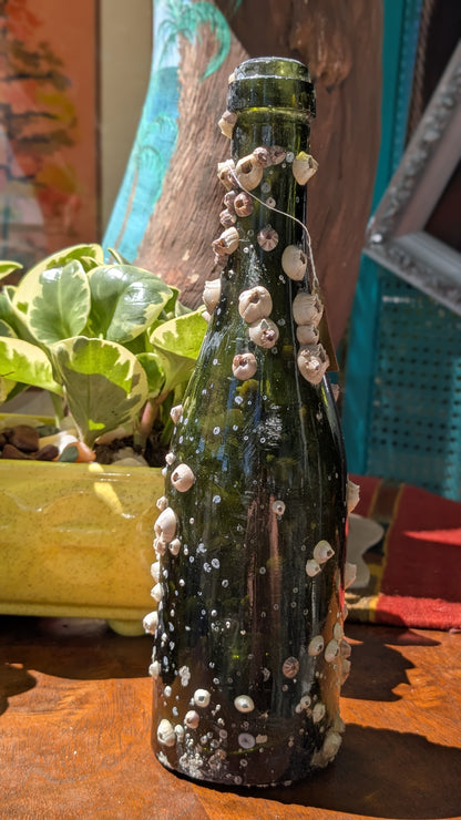 Barnacle Bottle C