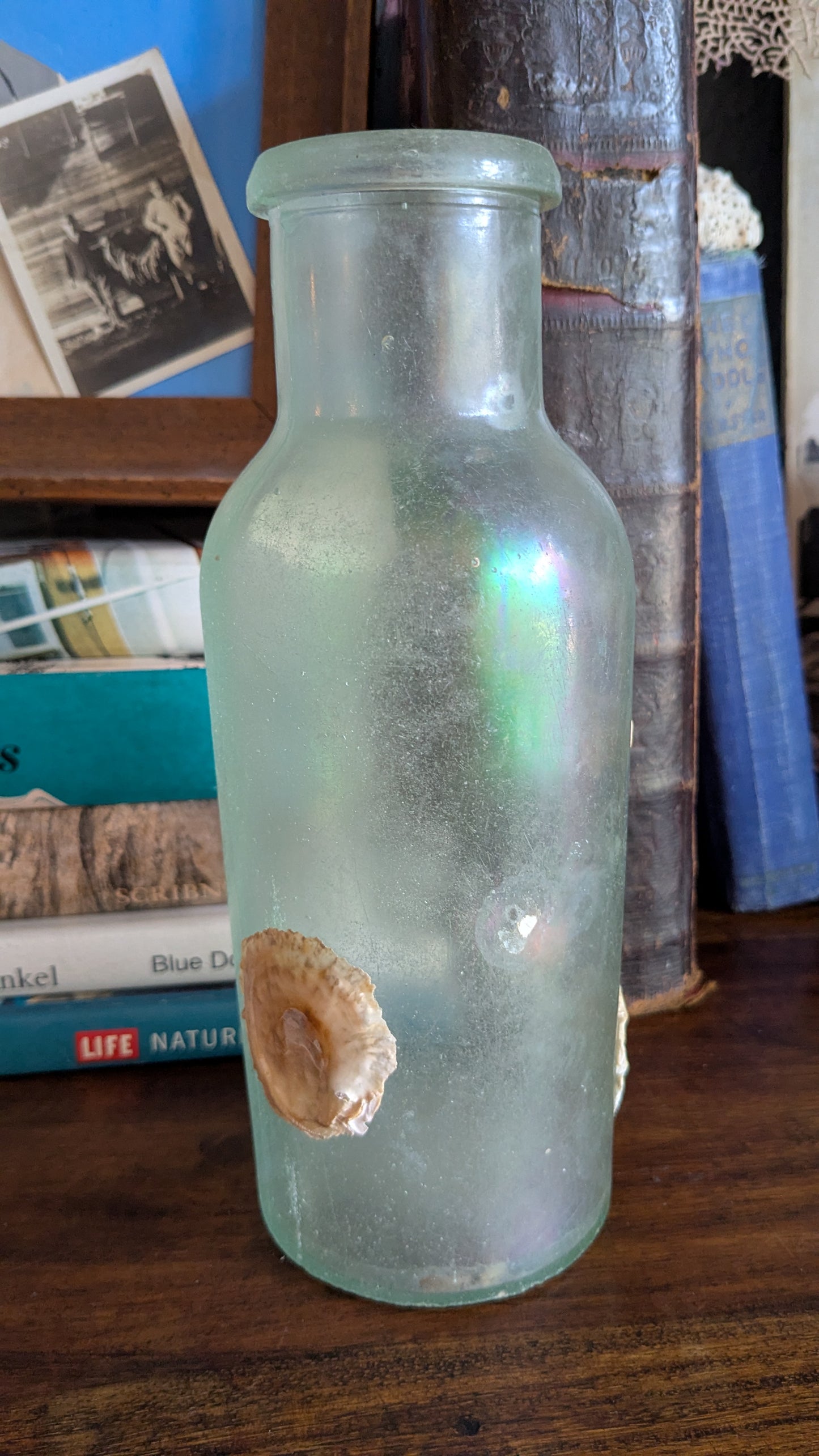 Antique Bottle with Barnacle Deposits