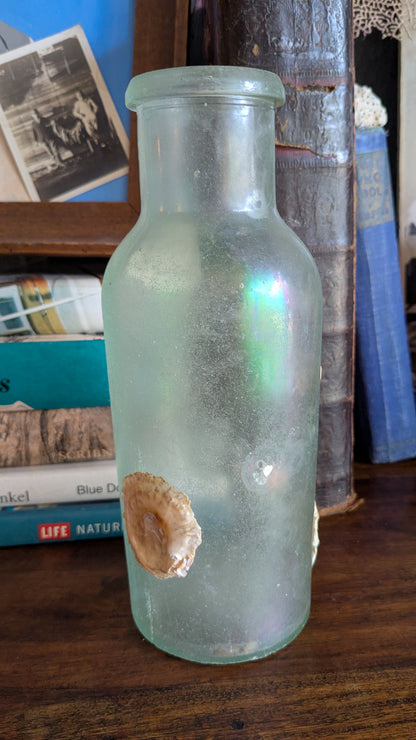 Antique Bottle with Barnacle Deposits