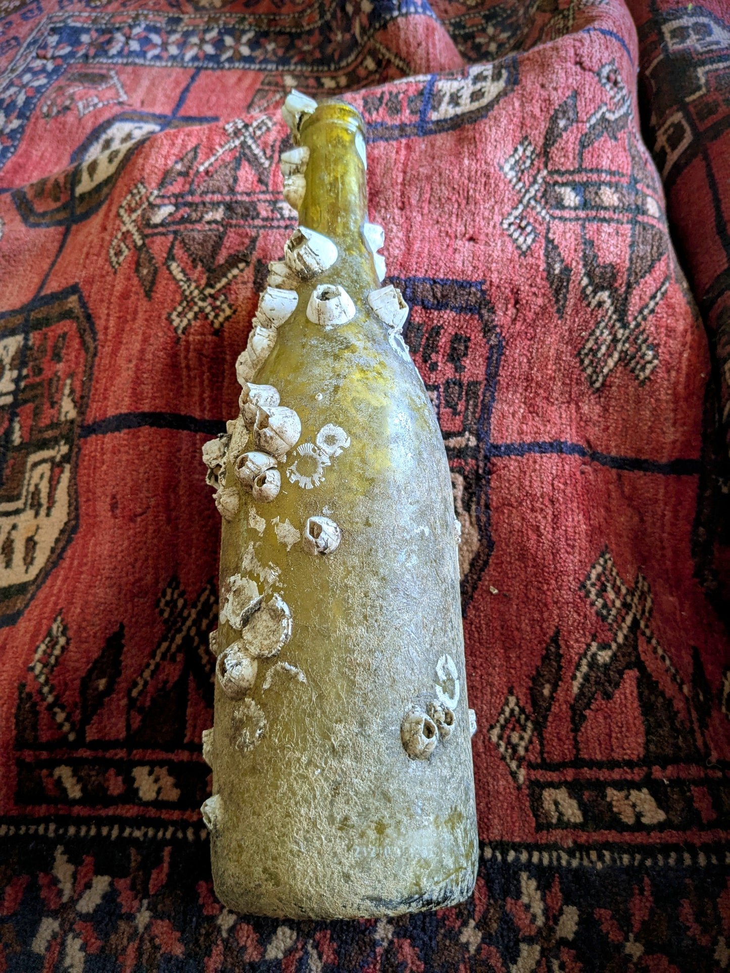 Barnacle Covered Bottle 1