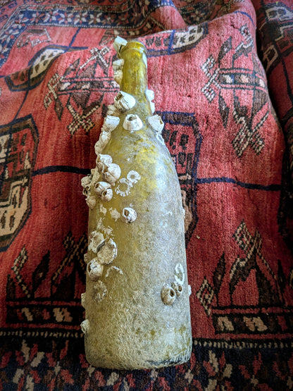 Barnacle Covered Bottle 1