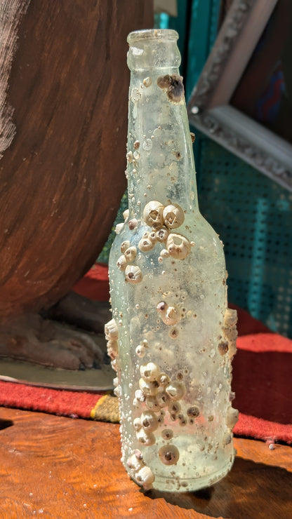 Barnacle Bottle D