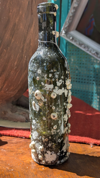 Barnacle Bottle E