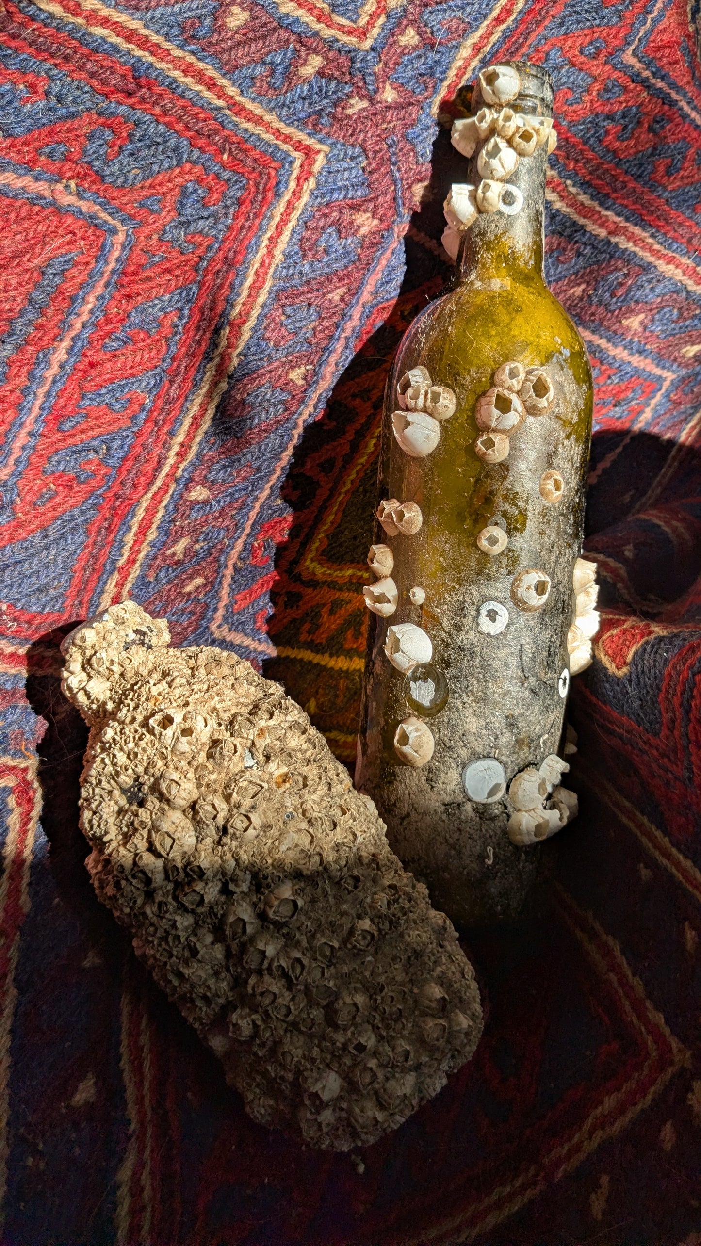 Barnacle Crusted Bottle