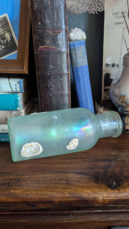 Antique Bottle with Barnacle Deposits