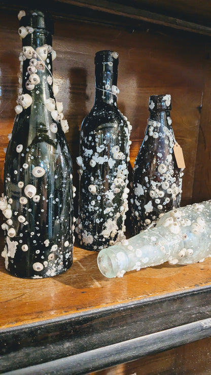 Barnacle Bottle E
