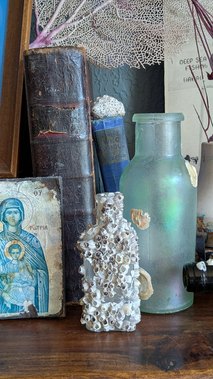 Antique Bottle with Barnacle Deposits