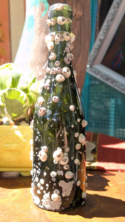 Barnacle Bottle C