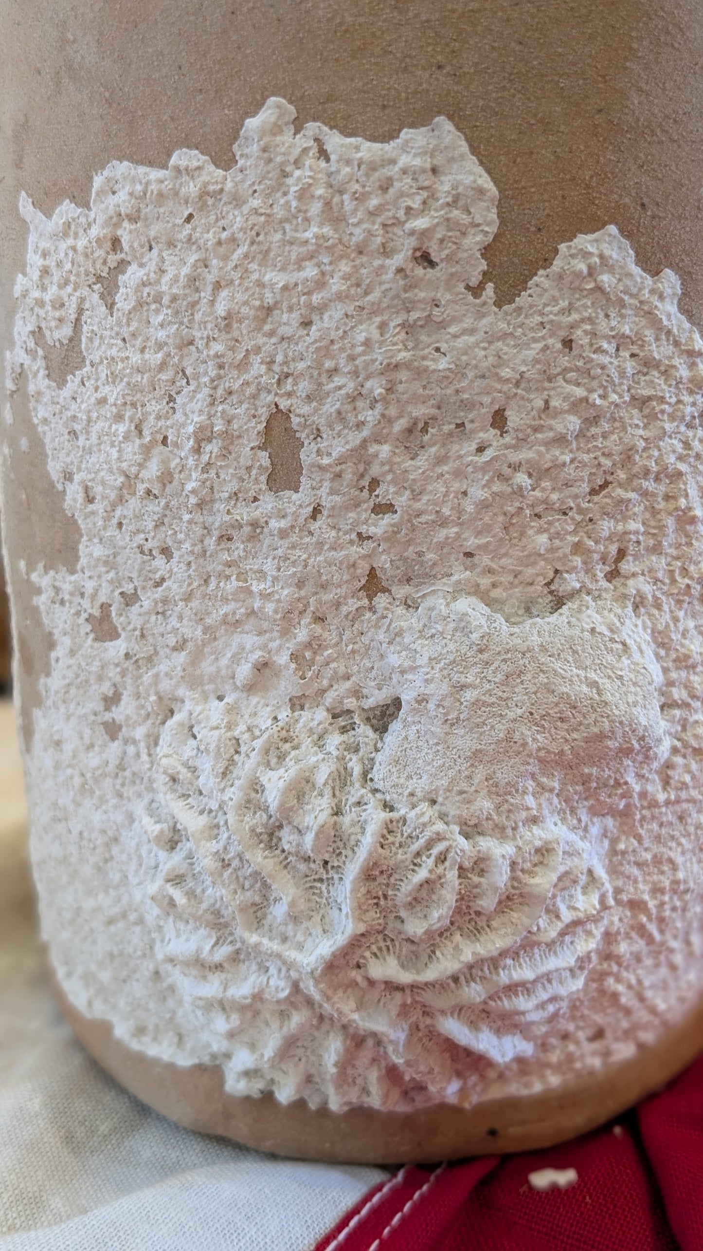 Antique Clay Bottle with Coral
