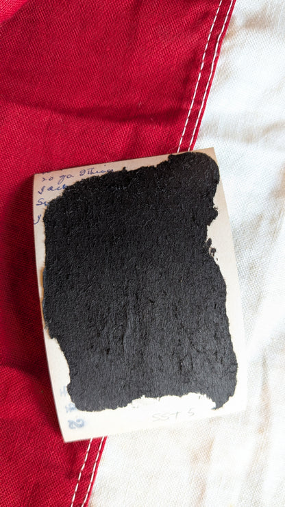 Antique Sepia Photograph